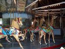 Dentzel Giraffes
