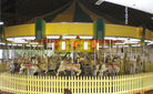 Perkasie Carousel