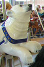 Inside Row Polar Bear