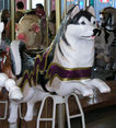 Inside Row Husky
