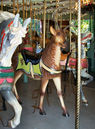 (L-R) Carmel, Stander  PTC Deer, Carmel Stander