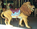 Unknown Lion