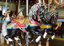 PTC Horses