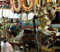 PTC Outside Row Jumper - Robert Bollinger Horse