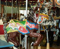 PTC Horses
