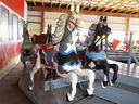 Armitage-Herschell Horses