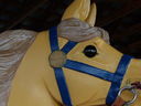 Armitage-Herschell Head Detail
