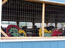 Veiw From Outside Carousel Building