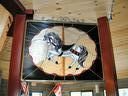 Stained Glass Carousel Horse