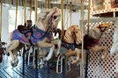 Jumpers - Porter Park Spillman Engineering Carousel