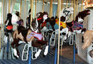 Jumpers - Porter Park Spillman Engineering Carousel