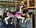 Jumpers - Porter Park Spillman Engineering Carousel