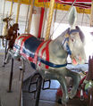 Coquereau & Marechal Donkey