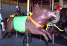 Limonaire Pig and Herschel-Spillman Rooster