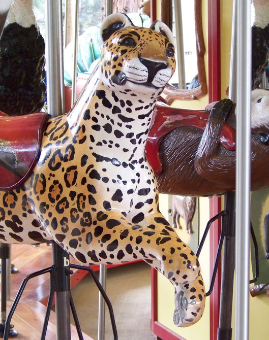 Click to display the next picture