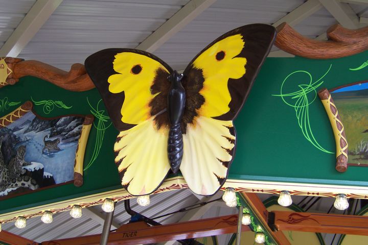 Click to display the next picture