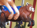 Carousel Works Red Panda