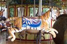 Carousel Works Tiger