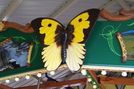 Rounding Boards with Butterfly Shield