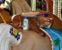 Detail of Rabbit with Sunglasses and Suntan Lotion