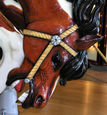 Detail of Bucking Horse's Gold Tooth