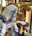 Second Row Unicorn and Third Row Horse