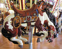 Outside Row Bucking Horse with Gold Tooth