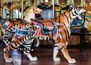 Dentzel Tiger Outside Row Stander