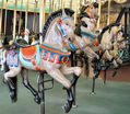 Looff Jumpers