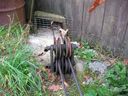 Cable Drive Idler Pulleys