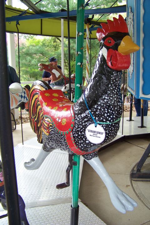 Click to display the next picture