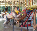Carousel Works Mandrill, Turkey, and Poison Dart Frog