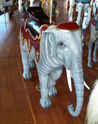 Looff 2nd Row Elephant