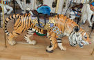 Looff Outside Row Standing Tiger