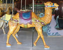 Looff Camel Outside Row Stander