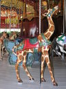 Looff Giraffe Outside Row Stander