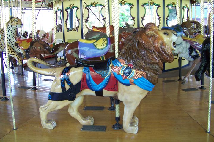 Click to display the next picture