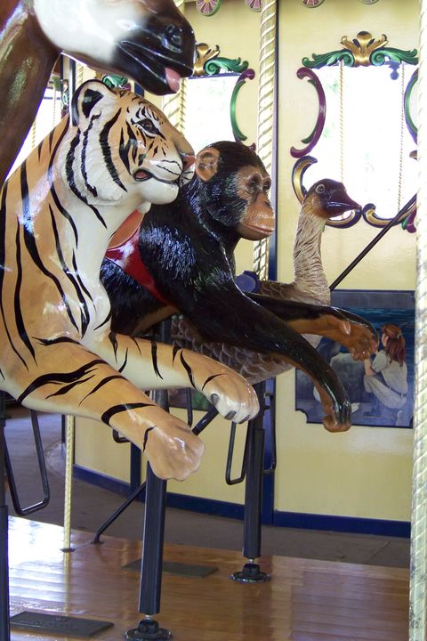 Click to display the next picture