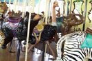 (L-R) Black Bear, Ostrich, Asian Elephant