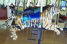 Siberian Tiger