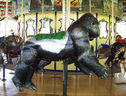 Silverback Gorilla