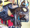 (L-R) Sun Bear and Asian Elephant