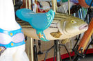 Carousel Works Sea Bass Jumper
