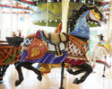 Carousel Works Outside Row Jumper