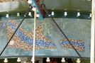 Inside Scenery Panels
