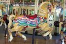 Outside Row Jumping Horse