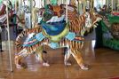 Outside Row Standing Tiger