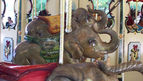 Elephant Row