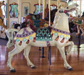 Outside Row Standing Horse