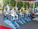 Heyn Horses